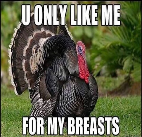 you-only-happy-thanksgiving-meme.jpg