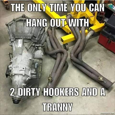 2 hookers n a transmission.jpg