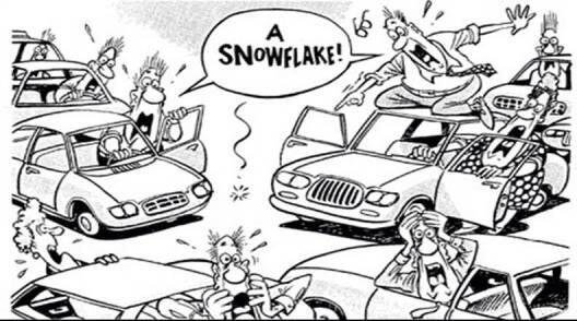 texas snow.jpg