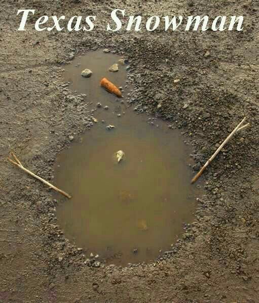 texas snowman.jpg