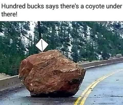 coyote.png